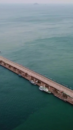 青岛海岸码头航拍航拍中国12秒视频