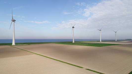 郁金香田和风力涡轮机视频