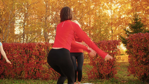 体育教练培训室外运动女性小组。 在秋天公园做瑜伽的女性以阿莎娜为业者。在秋季公园里26秒视频