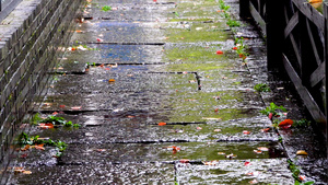 雨滴滴落在石板路上36秒视频