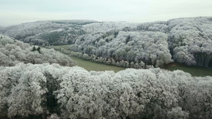 德国森林雪景24秒视频