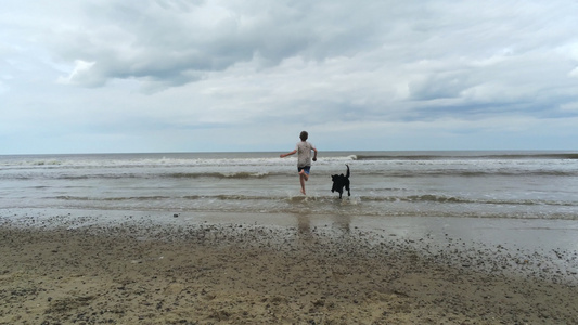 男孩和一条黑狗在海滩边玩耍视频