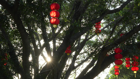 过年节日氛围实拍视频