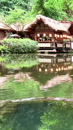 成都4A旅游景点杜甫草堂博物馆园林视频素材4A景区49秒视频