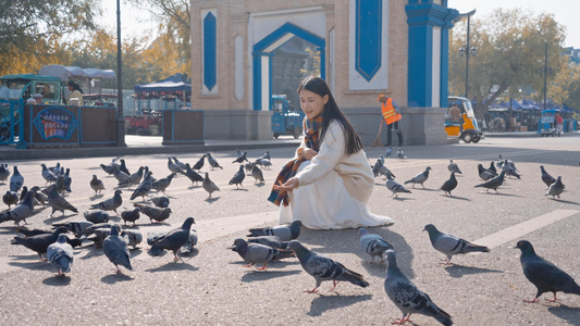 4K伊犁喀赞其民俗旅游区的鸽子与少女视频
