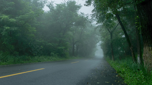 雨雾山林间公路视频