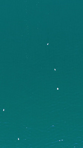 丽江泸沽湖旅游休闲船上喂海鸥 视频