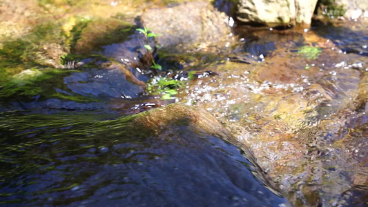 唯美水流升格视频视频