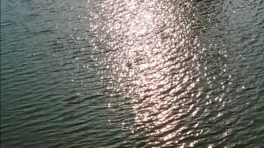 户外波光粼粼的湖水反光4K视频视频