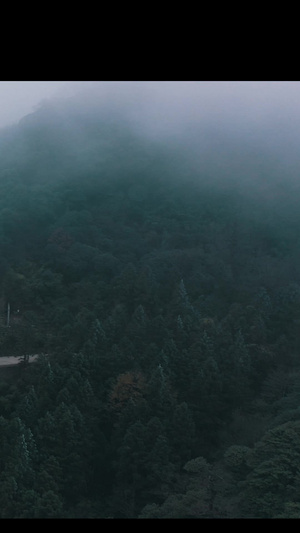 湖南永州万寿寺18秒视频