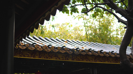 梅雨雨水古建筑屋檐[淅沥沥]视频