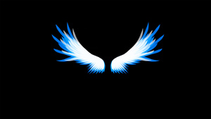 蓝色翅膀动画元素带通道20秒视频