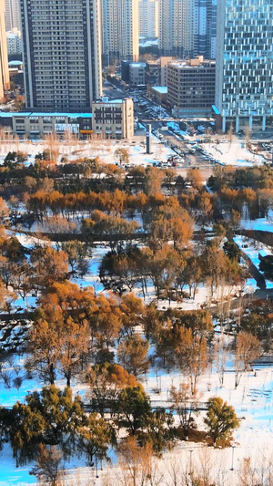 大气航拍冬季沈阳长白岛森林公园城市风貌32秒视频