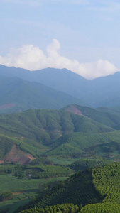 大自然广西十万大山航拍喀斯特视频