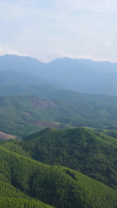 大自然广西十万大山航拍喀斯特视频