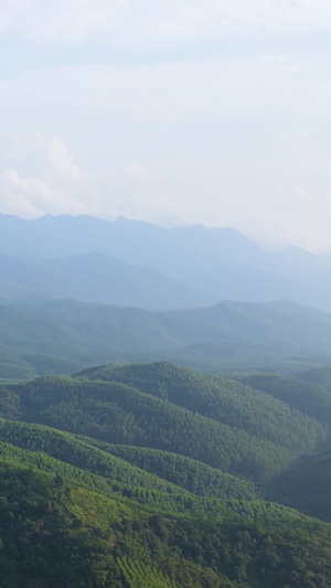 大自然广西十万大山航拍大山深处70秒视频