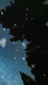 俯瞰星空雪花夜景视频