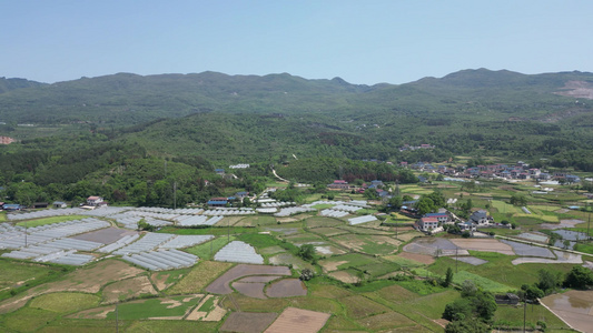 农业种植农田美丽乡村航拍视频