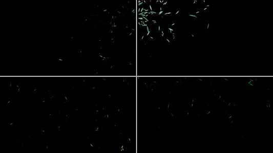 一组柳叶粒子漂浮动画视频