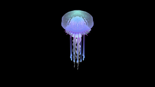 三维水母动画[3D立体]视频