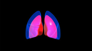 4K人体肺动画元素带透明度通道20秒视频