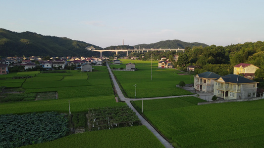 田野中得乡村农村航拍视频视频