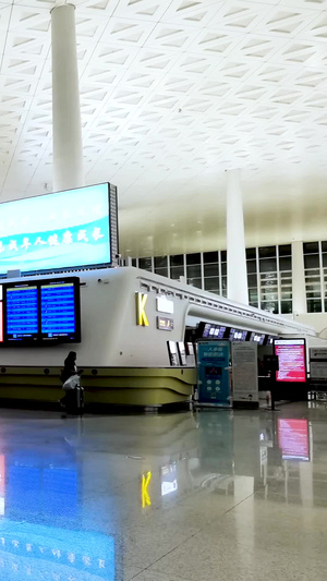 夜晚繁忙的机场航站楼大厅延时素材25秒视频