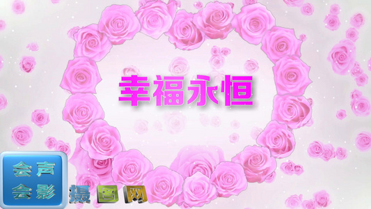 相册粉色玫瑰心情婚礼相册会声会影X10视频