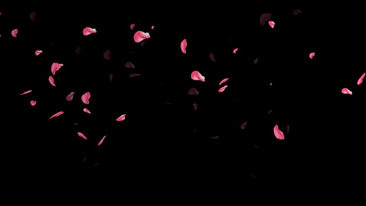 4K玫瑰花飘落动画元素视频
