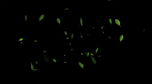 4K 绿叶飘落粒子元素带透明度通道15秒视频