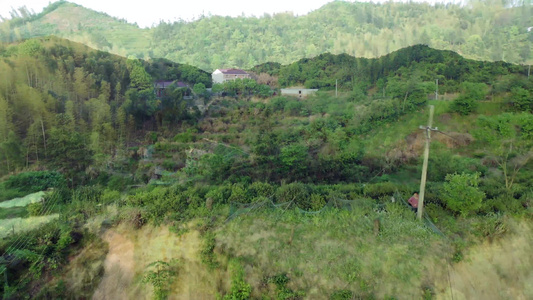 舒城大别山茶园采摘茶叶风景视频