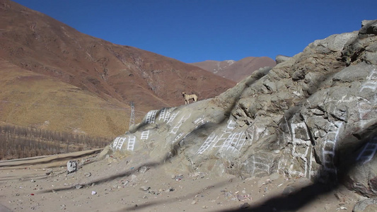 西藏圣城纳金山口经幡天梯视频