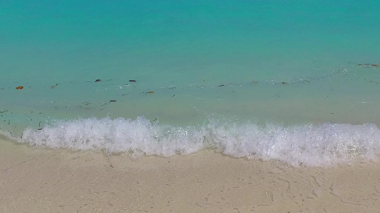 以棕榈附近有白沙背景的蓝水打破海滨海滩的宽角抽象角度视频