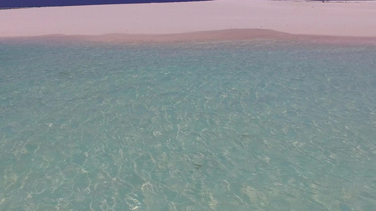 棕榈附近的水蓝色海洋和白沙背景对天堂旅游海滩野生动物的空白摘要视频