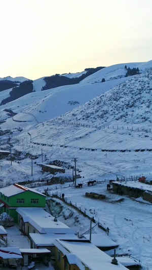 雪山脚下的村庄北疆雪景13秒视频