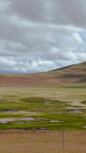 航拍西藏阿里地区高原地貌与放牧羊群视频旅游目的地41秒视频