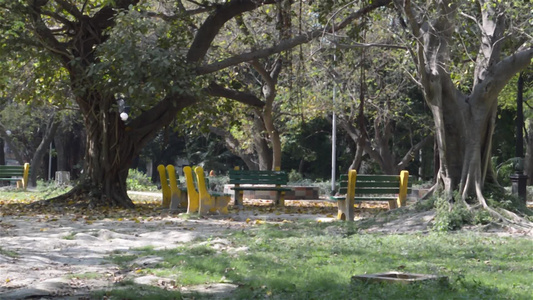 秋天公园长椅在树荫下 在公共公园风景中,夏季环境背景视频