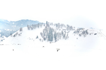 新疆伊犁州5A景区那拉提旅游风景区雪景视频