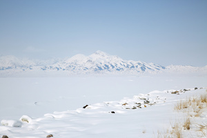 冬日新疆5A景区赛里木湖雪景61秒视频