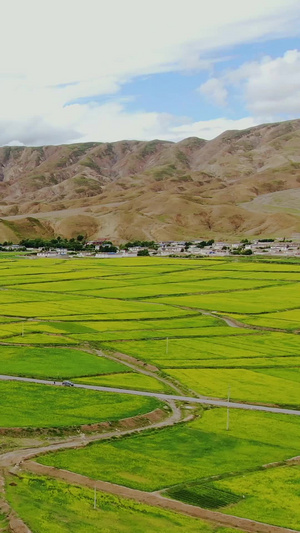 航拍西藏传统藏式村落田园风光视频旅游目的地66秒视频