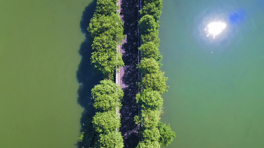 武汉东湖自然风光航拍延时视频