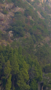 天台山大瀑布全景实拍合集5A景区视频