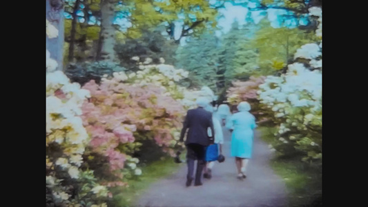 1966年花园视频