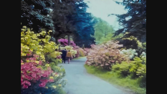 1966年birmingham 花园,人与人视频
