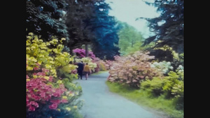 花园里人与人散步8秒视频