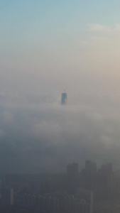 航拍穿过平流雾的城市高楼和雾中城市自然现象视频