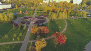 秋天在城市公园的多彩树木上飞翔10秒视频