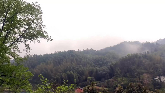 高海拔山间清晨雾气人家树木视频