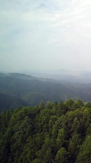 航拍湖南原始森林31秒视频