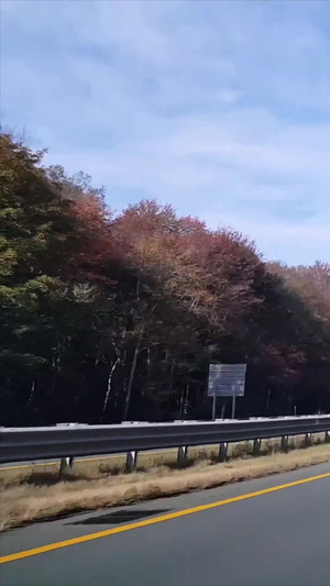 美国高速公路第一视角63秒视频